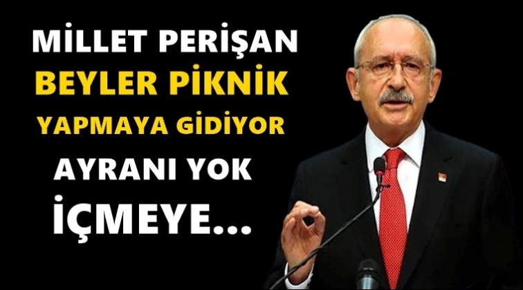 'Bir devlet aile şirketi gibi y&ouml;netilemez'