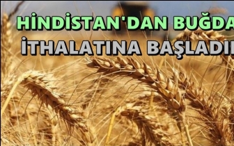Hindistan’dan buğday ithal ettik!
