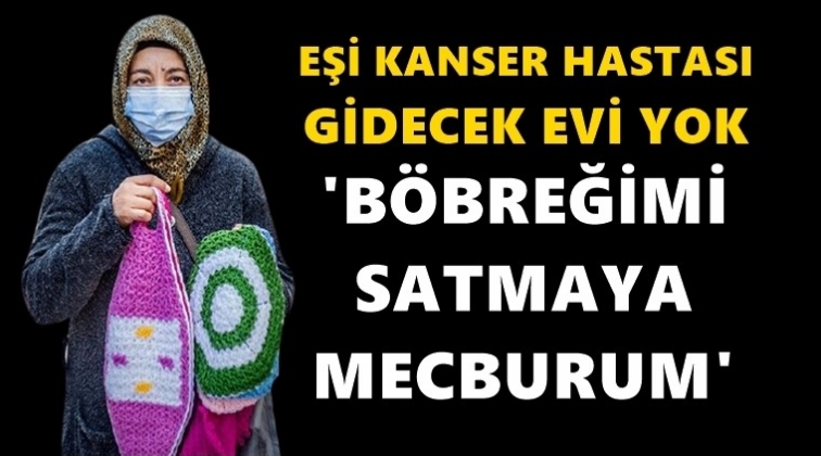 B&ouml;breğimi satmaya mecburum...