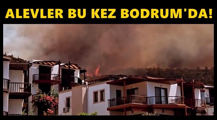 Bodrum'da alevler yerleşim yerlerine yaklaştı!
