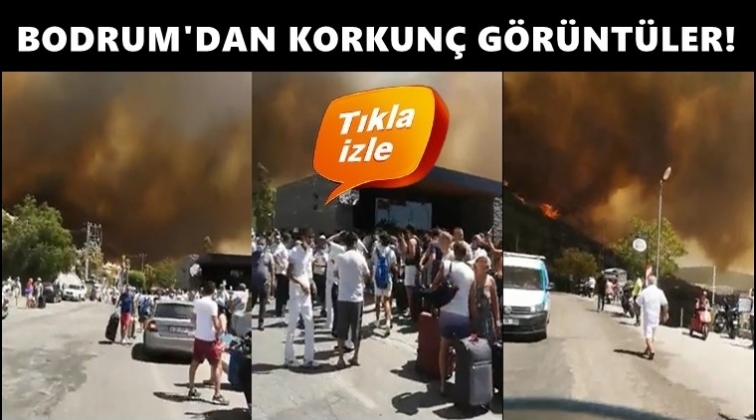 Bodrum'da korkun&ccedil; g&ouml;r&uuml;nt&uuml;ler!..