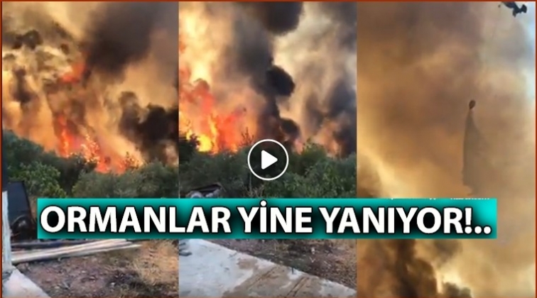 Bodrum'da yangın b&uuml;y&uuml;yor!