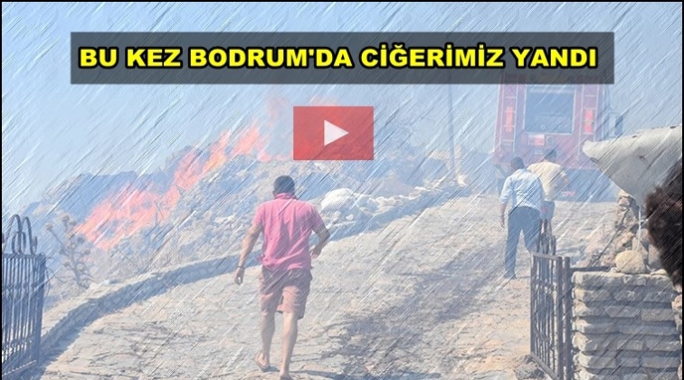 Bodrum&rsquo;da yangın! M&uuml;dahale devam ediyor...