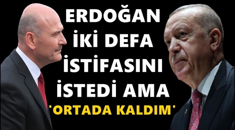 Bomba kulis: Erdoğan, Soylu'dan 2 kere istifasını istedi...