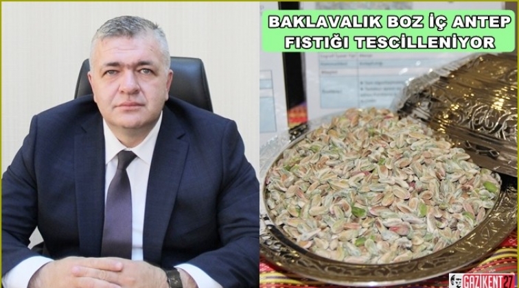 Boz i&ccedil; Antepfıstığı i&ccedil;in tescil başvurusu