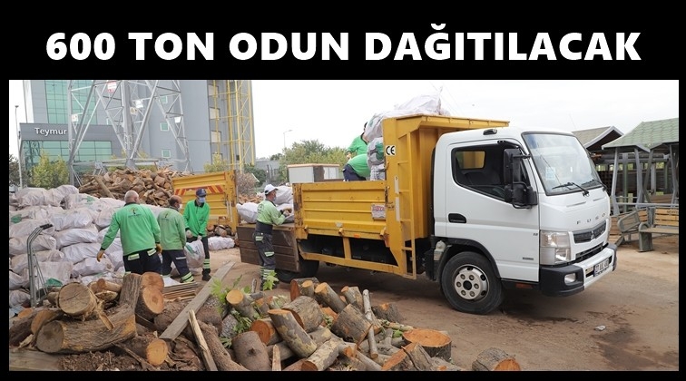 Budanan ağa&ccedil;lar yakacak odun oluyor
