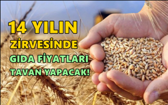 Buğday fiyatları 14 yılın zirvesinde!