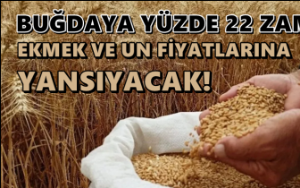 Buğdaya yüzde 22 zam!