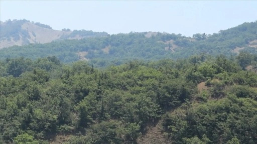 Burdur'da ormanlık alanlara girişler yasaklandı!