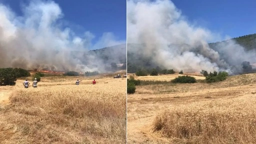 Bursa'da korkutan yangın! Alevler ormana sıçradı