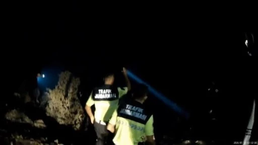 Bursa'da ormanı yakmaya çalışan şüpheli kaçtı!