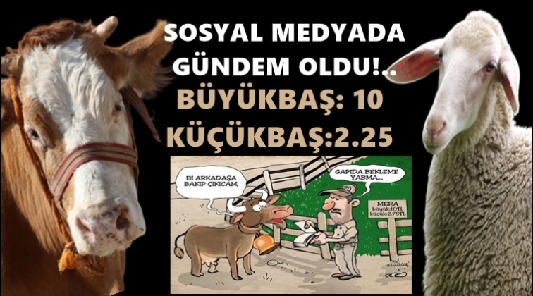 B&uuml;y&uuml;kbaş 10 lira, k&uuml;&ccedil;&uuml;kbaş 2,25 lira!..