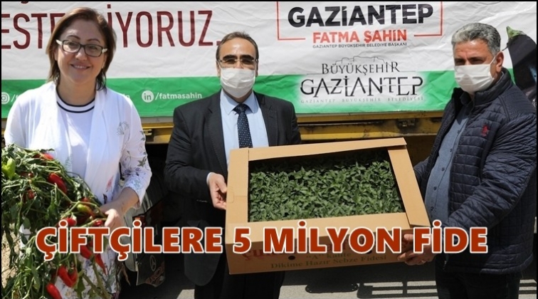 B&uuml;y&uuml;kşehir, 5 milyon fide dağıtımına başladı