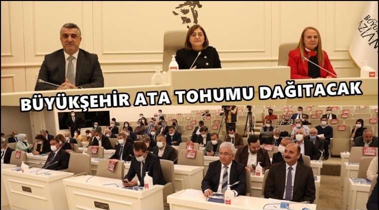 B&uuml;y&uuml;kşehir, Ata tohumu dağıtacak...