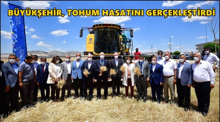 B&uuml;y&uuml;kşehir tohum hasatı yaptı...