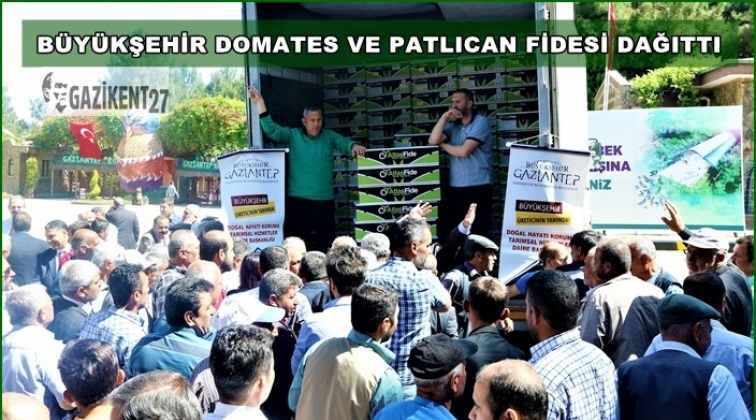 B&uuml;y&uuml;kşehir patlıcan ve domates fidesi dağıttı