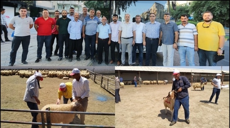 B&uuml;y&uuml;kşehir'den damızlık hayvan se&ccedil;imi gezisi...