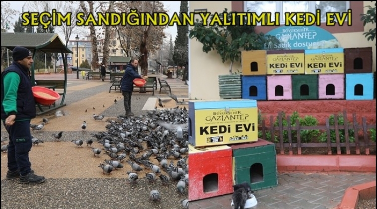 B&uuml;y&uuml;kşehir'den sokak kedilerine 'Kedi Evleri'