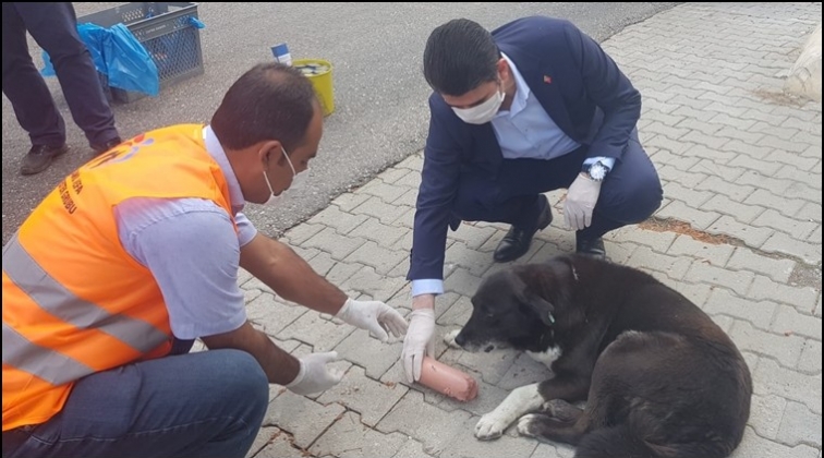 CAHİDE&rsquo;nin bayram beslemesine destek