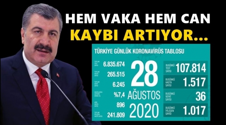 Can kaybı ve vakada b&uuml;y&uuml;k artış!..