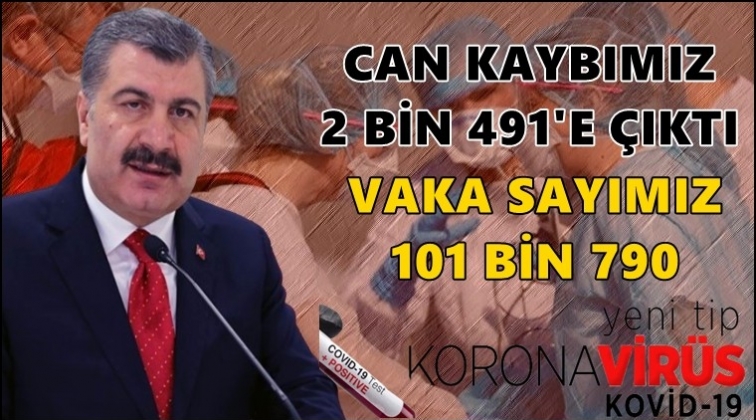 Can kaybımız 2 bin 491'e y&uuml;kseldi