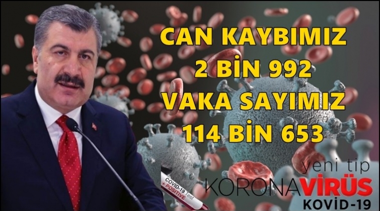 Can kaybımız 2 bin 992'ye y&uuml;kseldi