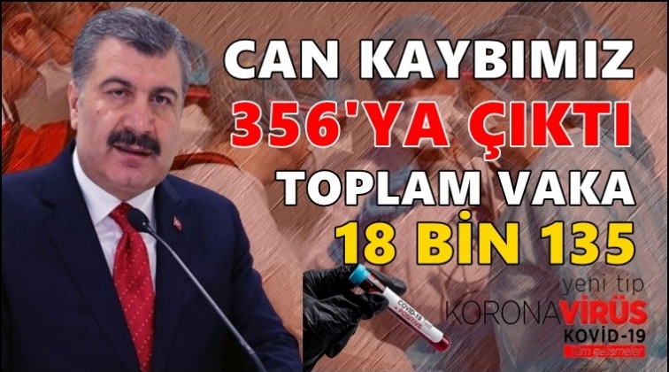 Can kaybımız 356'ya y&uuml;kseldi!..