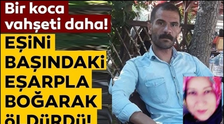 Caniler &ouml;ld&uuml;rmeye doymuyorlar!..