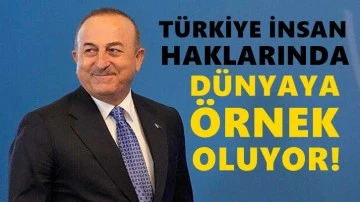 &Ccedil;avuşoğlu: T&uuml;rkiye insan haklarında d&uuml;nyaya &ouml;rnek oluyor!