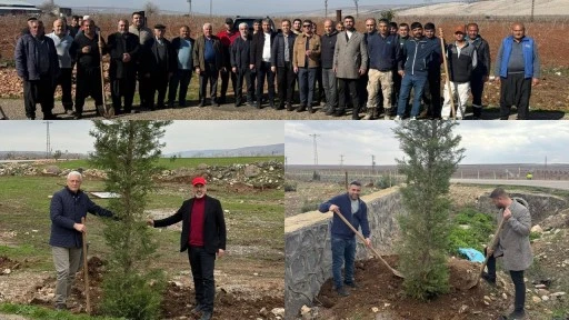 &Ccedil;epniler Derneği&rsquo;nden ağa&ccedil; dikme ş&ouml;leni