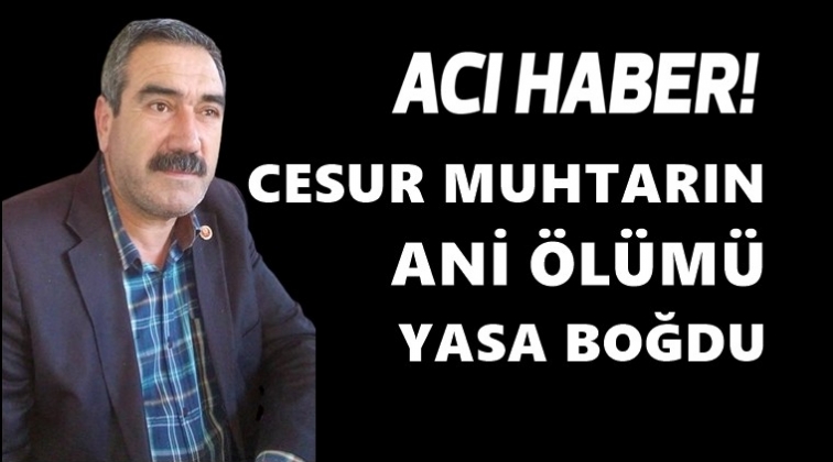 Cesur muhtarın ani &ouml;l&uuml;m&uuml; yasa boğdu!