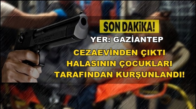 Cezaevinden &ccedil;ıktı, kuzenleri tarafından &ouml;ld&uuml;r&uuml;ld&uuml;!