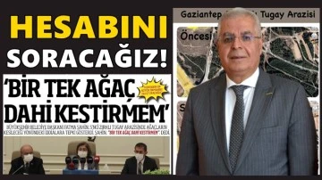 CHP İl Başkani U&ccedil;ar: Hani tek bir ağa&ccedil; dahi kesilmeyecekti?