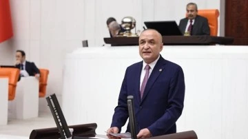 CHP'li Meriç bireysel silahlanmayı gündeme taşıdı