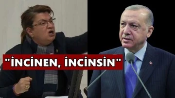 CHP'li vekilden Erdoğan'a yanıt: İncinen, incinsin...