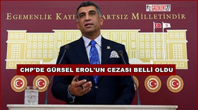CHP'de G&uuml;rsel Erol'un cezası belli oldu