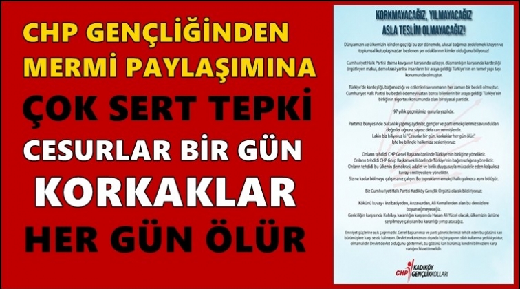 CHP&rsquo;den &lsquo;mermili&rsquo; paylaşıma tepki