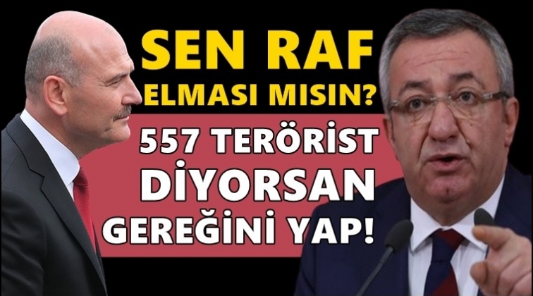 CHP'li Altay'dan Soylu'ya: Sen raf elması mısın?
