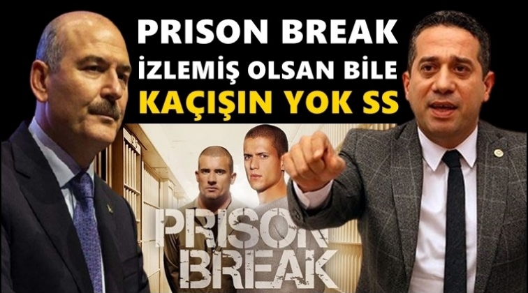 CHP'li Başarır'dan Soylu'ya: Ka&ccedil;ışın yok!