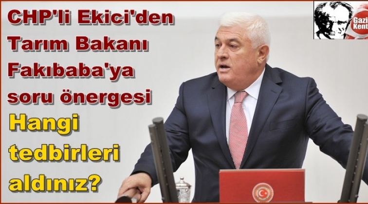 CHP'li Ekici: "Hangi tedbiri aldınız?"