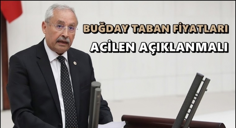 CHP'li Kaplan: Buğday taban fiyatı acilen a&ccedil;ıklanmalı