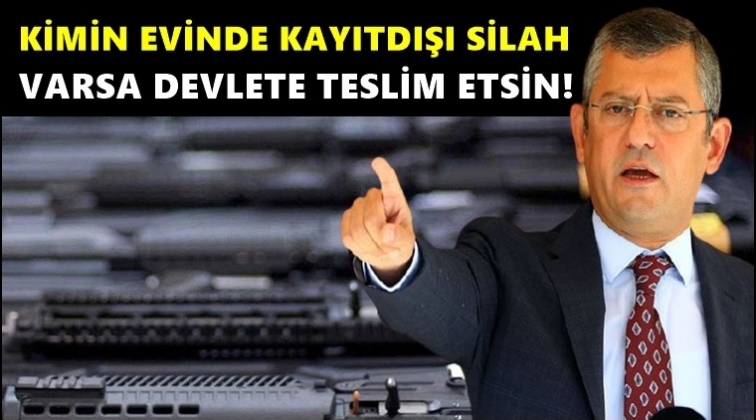 CHP'li &Ouml;zel:&nbsp;Gelin kayıp silahlar i&ccedil;in kanun &ccedil;ıkaralım