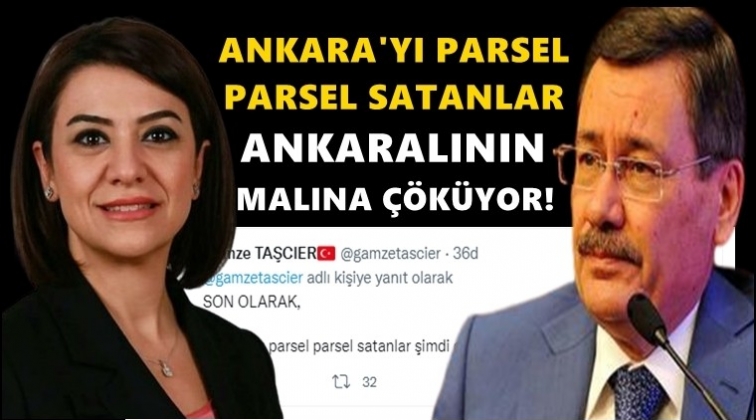 CHP'li Taş&ccedil;ıer: G&ouml;k&ccedil;ek Ankaralının malına &ldquo;&ccedil;&ouml;k&uuml;yor''