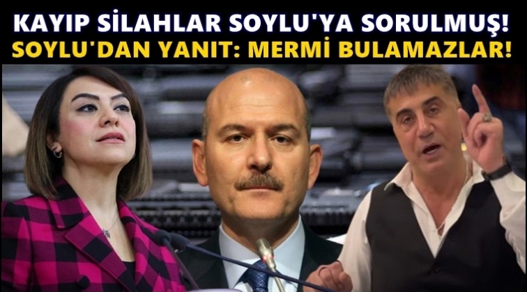CHP'li vekil kayıp silahları 2019&rsquo;da Soylu&rsquo;ya sormuş!