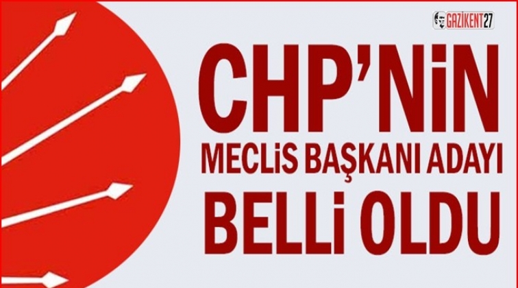 CHP&rsquo;nin Meclis Başkanı adayı belli oldu