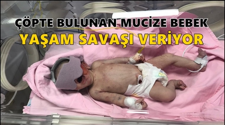 Çöpte bulunan bebek yaşam savaşı veriyor