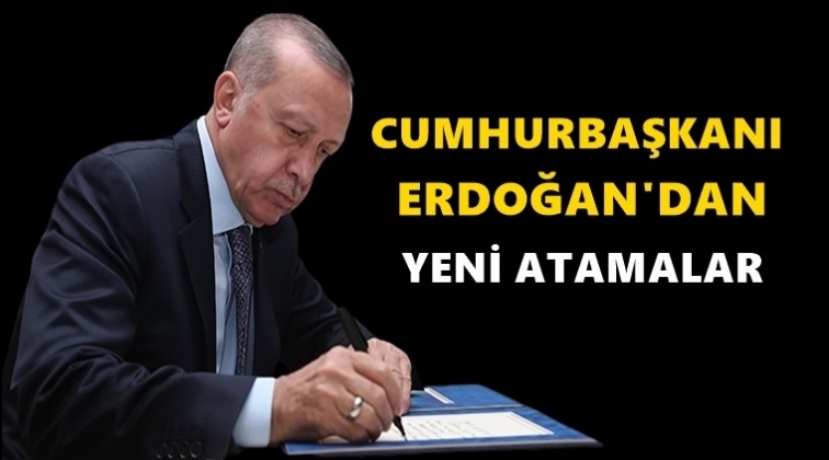 Cumhurbaşkanı Erdoğan'dan yeni atamalar
