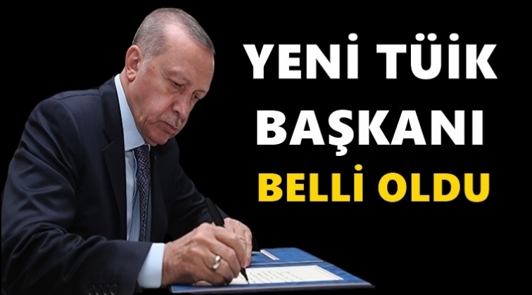Cumhurbaşkanı T&Uuml;İK'e Başkan atadı...