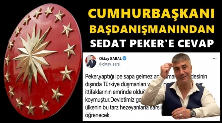 Cumhurbaşkanlığı'ndan Sedat Peker'e cevap...