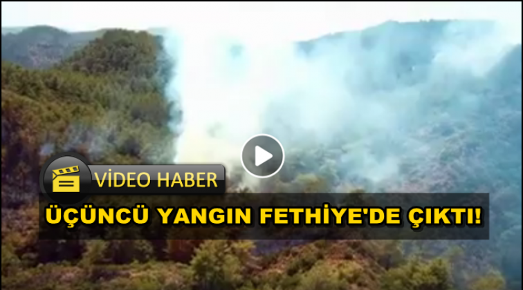 Dalaman, Milas ve Fethiye... Ciğerimiz yanıyor!